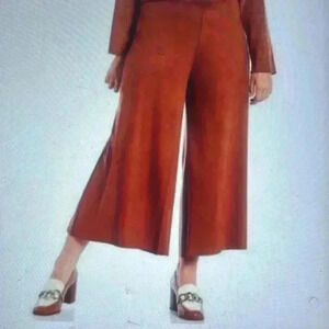 NWT BRYN WALKER ELLA FAUX SUEDE WIDE LEG PSNTS IN SEQUOIA BROWN XXS